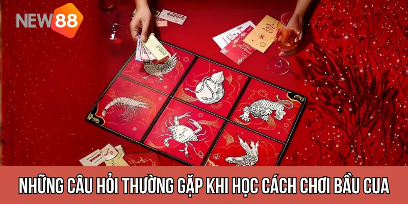 Những câu hỏi thường gặp khi học Cách Chơi Bầu Cua